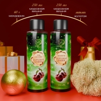 Новогодний подарочный набор косметики «Снежное царство», с ароматом вишни и корицы. Зеленая серия Новогодний подарочный набор косметики «Снежное царство», с ароматом вишни и корицы. Зеленая серия