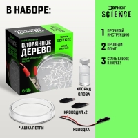 Набор для опытов &laquo;Оловянное дерево&raquo;