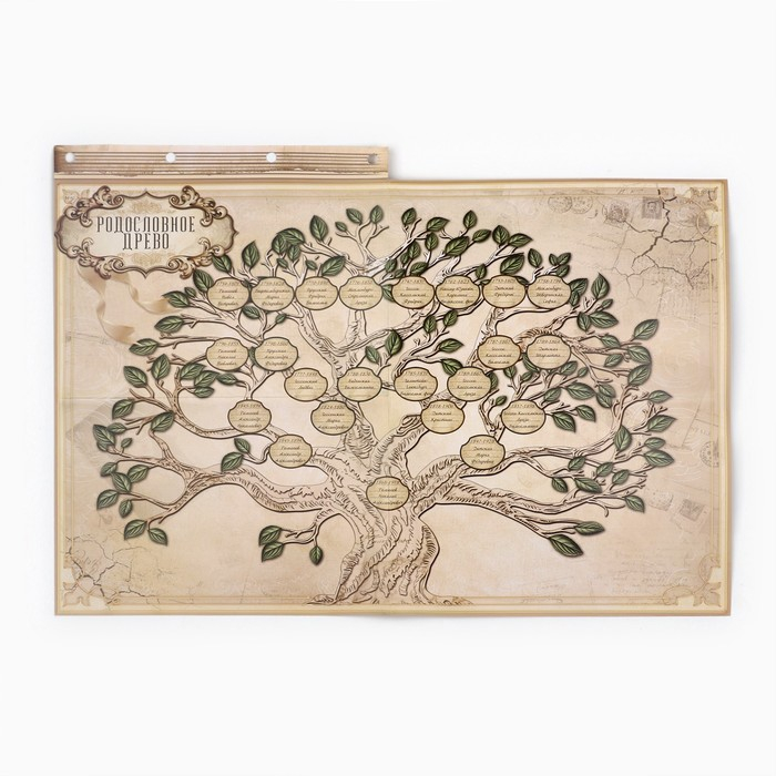 Родословная книга &laquo;Книга нашей семьи&raquo;, 65 листов, 32 х 23 см.