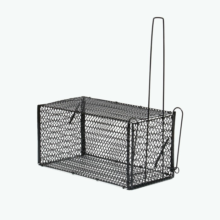 Крысоловка, 36 &times; 17 &times; 17 см, металлическая, Greengo