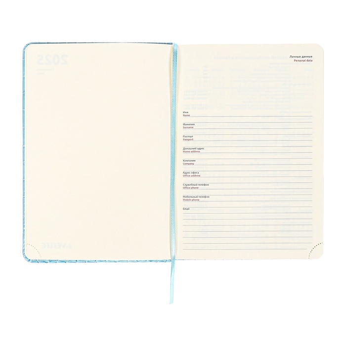 Ежедневник датированный 2025 года A5, 168 листов, deVENTE. Barbara, твердая обложка кожзам с поролоном, перфорацией, ляссе, блок 70, голубой