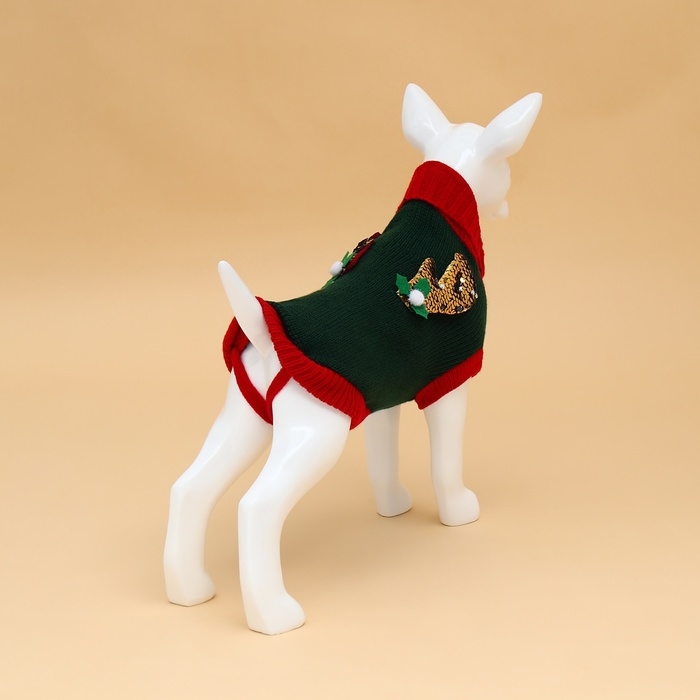 Свитер Свитер "Рога удачи", размер S (ДС 25 см, ОШ 23, ОГ 26-45), зелёный