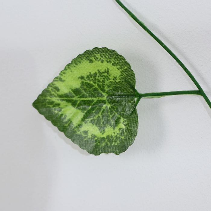 Лиана Лиана "Лист с прожилками" 2,4 м