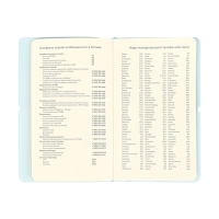 Планинг карманный недатированный, 80 листов, 100х170 мм, deVENTE.Jane, мягкая обложка ПВХ, на резинке, перфорация, ляссе, блок 70%, голубой