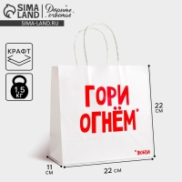 Пакет подарочный крафт, упаковка, &laquo;Гори огнем&raquo;, 22 х 22 х 11 см