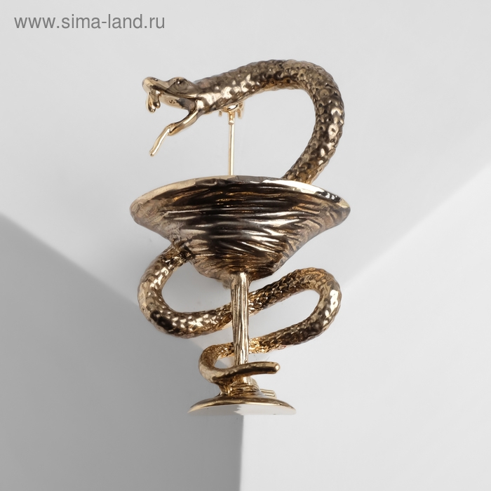 Брошь «Змея в геральдике» медицина, цвет чернёное золото Брошь «Змея в геральдике» медицина, цвет чернёное золото