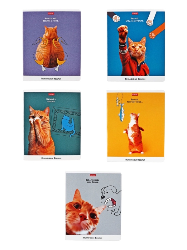 Тетрадь 48л кл на скобе "Приключения Василия", скругл углы, обл мел бум, 45 МИКС