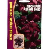 Семена цветов Плюмерия Черное Окно  3 шт.  12.29 г.