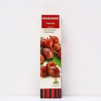 Крыжовник "Сенатор", 1 шт, туба, Весна 2025