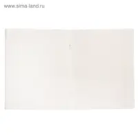 Тетрадь 48 листов в линейку Calligrata &laquo;Цвет и графика&raquo;, обложка мелованная бумага, блок №2, белизна 75% (серые листы), МИКС