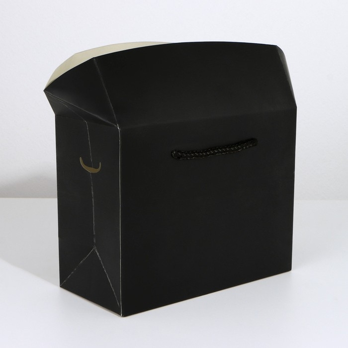 Пакет&mdash;коробка &laquo;Чёрный&raquo;, 28&times;20&times;13 см