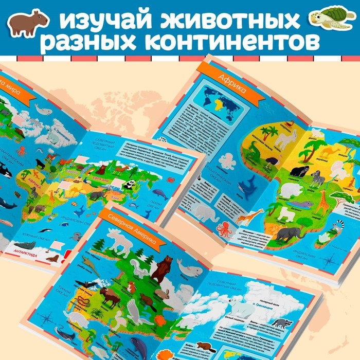 Книга с наклейками &laquo;Атлас животных&raquo;, формат А4, 16 стр.