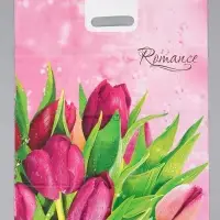 Пакет "Romance, полиэтиленовый с вырубной ручкой проруб. 41х51х4 80 мкм