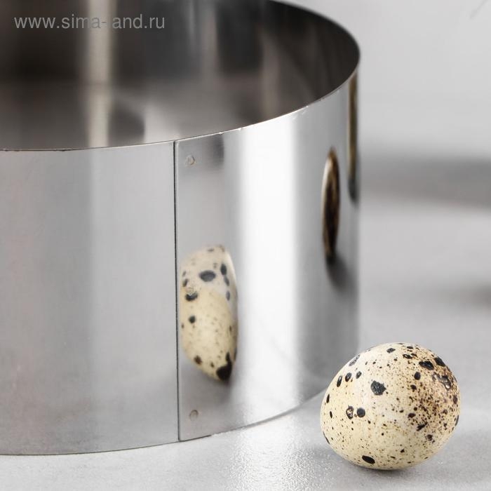 Форма для выпечки и выкладки &laquo;Круг&raquo;, h=6,5 см, d=14 см, нержавеющая сталь