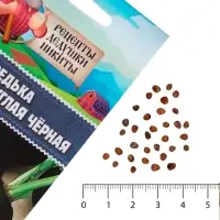 Семена Редька "Зимняя круглая чёрная", среднеспелая, 1 г
