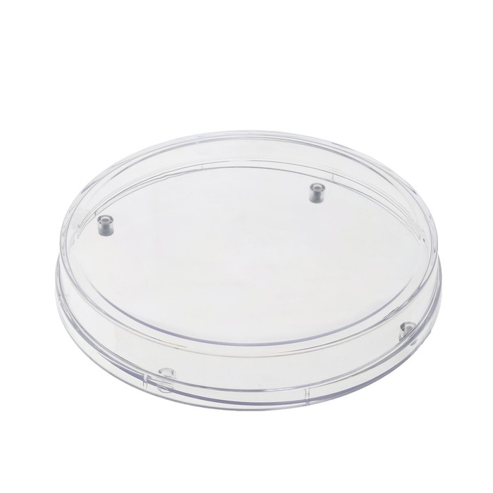 Монетница круглая RONDO, d=172 мм, h=24 мм Монетница круглая RONDO, d=172 мм, h=24 мм