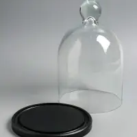 Стеклянный купол-клош на деревянной подставке 17х25 см, чёрный