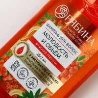 Шампунь для волос, молодость и объем, аромат рябины, 250 мл, Рябина