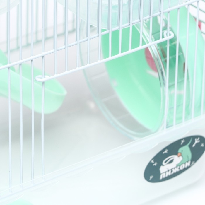 Клетка для грызунов Клетка для грызунов "Пижон", 23 х 17 х 33 см, прозрачная, зелёное наполнение
