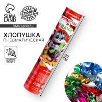 Хлопушка пневматическая &laquo;Богатства и удачи&raquo;, 20 см