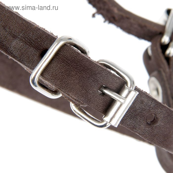 Намордник кожаный Зооник №5, немецкая овчарка,терьер (длина по носу 11 см, обхват морды 36 см), микс Намордник кожаный Зооник №5, немецкая овчарка,терьер (длина по носу 11 см, обхват морды 36 см), микс