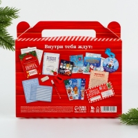 Подарочный набор новогодний  12 предметов &laquo;Новогодняя посылка&raquo;