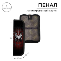 Пенал 1 секция, 55 х 205 х 25 мм, Calligrata "Паук", ламинированный картон Пенал 1 секция, 55 х 205 х 25 мм, Calligrata "Паук", ламинированный картон