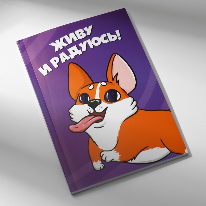 Подарочный набор в портфеле: ежедневник А5, магнитные закладки и ручка «Для тех, у кого лапки» Подарочный набор в портфеле: ежедневник А5, магнитные закладки и ручка «Для тех, у кого лапки»