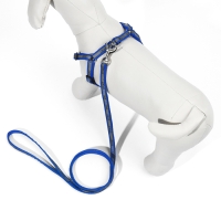 Комплект "Спорт" светоотражающий, поводок 120 х 1 см, ОГ 22-39 см, микс цветов