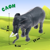 Набор животных &laquo;Сафари&raquo;, 4 фигурки