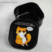 Ланч-бокс &laquo;Кот&raquo;, 700 мл