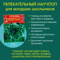 Детская энциклопедия &laquo;Микромир&raquo;