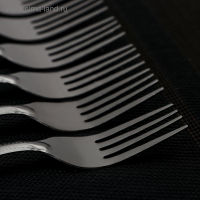 Набор вилок столовых &laquo;Ванесса&raquo;, h=19,5 см, 12 шт, цвет серебряный