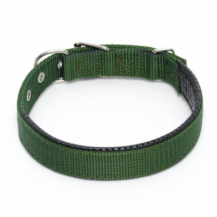 Ошейник "Комфорт" комбинированный, 55 х 2,5 см, ОШ 40-50 см, зелёный