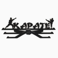 Медальница &laquo;Карате&raquo;, 29 &times; 9,5 см