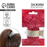 Зажим для волос со стразами «Нежность», 3,5 х 4,5 х 1.5 см Зажим для волос со стразами «Нежность», 3,5 х 4,5 х 1.5 см