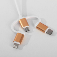 Ежедневник со встроенным зарядным устройством 8000 мАh и флешкой 16 ГБ &laquo;Лев&raquo;, 17,5 х 23,5 см