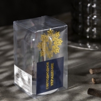 Светодиодная фигура под куполом &laquo;Дед Мороз&raquo; 6 &times; 9.5 &times; 6 см, дерево, батарейки LR1130х3 (нет в комплекте), свечение тёплое белое