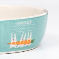 Миска керамическая "Для кроликов" 300мл, 12 х 3,5 см Миска керамическая "Для кроликов" 300мл, 12 х 3,5 см