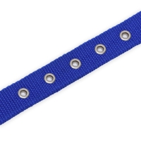 Ошейник двухслойный с вертлюгом, 55 х 2,5 см, полиэстер, синий