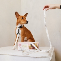 Набор &laquo;Мрамор&raquo;, застёжка - фастекс, поводок 2 м и ошейник 28-46 см