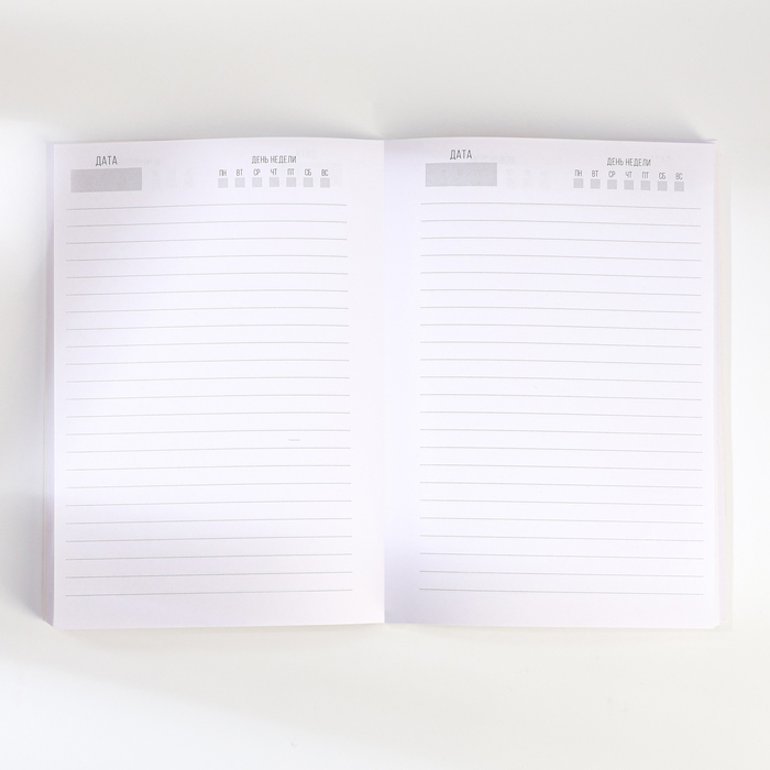 Подарочный набор ежедневник А5, 80 листов, наклейки и ручка &laquo;Крутой мужик&raquo;