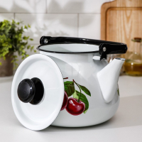 Чайник сферический «Вишневый сад», 3,5 л, индукция, цвет белый Чайник сферический «Вишневый сад», 3,5 л, индукция, цвет белый