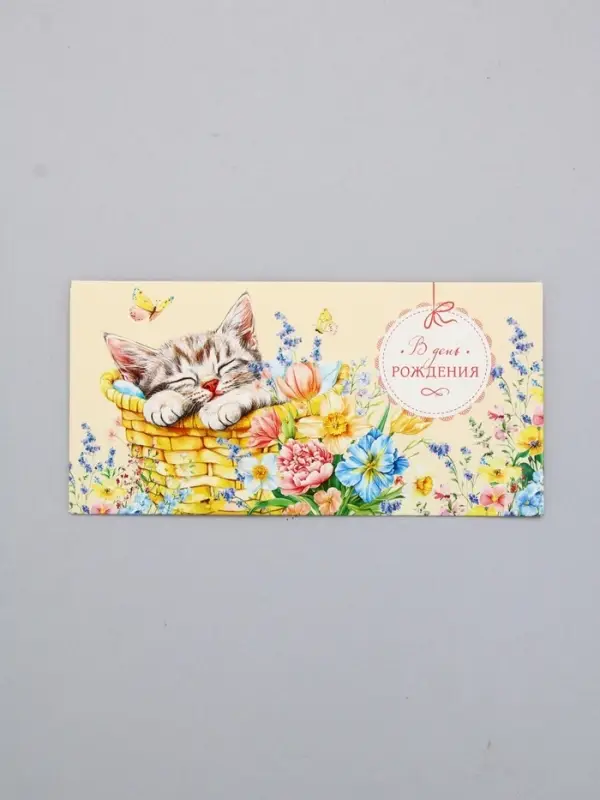 Конверт для денег &laquo;В День Рождения&raquo;, котик спит, 16,5 х 8 см