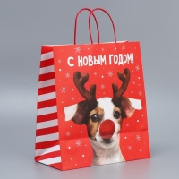 Пакет подарочный новогодний крафтовый &laquo;Олень ты&raquo;, 28 х 32 х 15 см