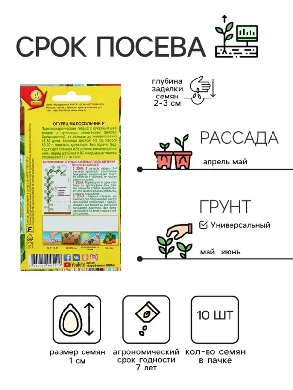 Семена Огурец "Малосольчик F1", раннеспелый, партенокарпический, 10 шт