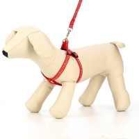 Комплект прошитый "Жираф", ширина 1 см, поводок 120 см, шлейка 23-35 см, красный Комплект прошитый "Жираф", ширина 1 см, поводок 120 см, шлейка 23-35 см, красный