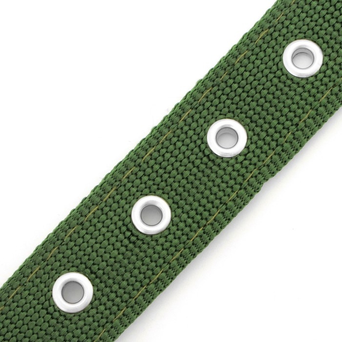 Ошейник "Комфорт" комбинированный, 58 х 3 см, ОШ 45-52 см, тёмно-зелёный