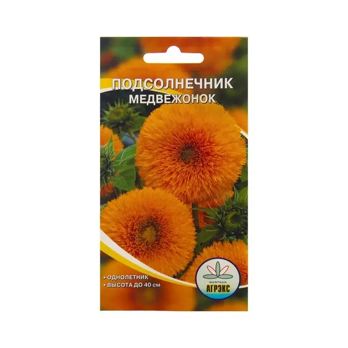 Семена Цветов Подсолнечник Медвежонок, 10 шт Семена Цветов Подсолнечник Медвежонок, 10 шт