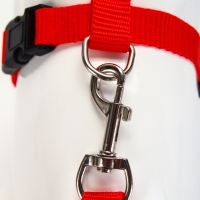 Комплект для кошек, ширина 1,5 см, ОШ 16,5-27 см, ОГ 21-35 см, поводок 120 см, красный